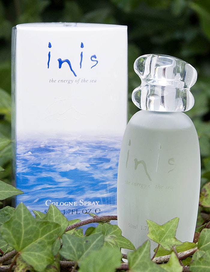 INIS Perfume Spray 100ml – LA Image